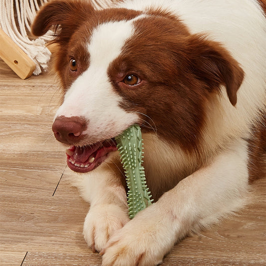 Chew Toy For Dogs