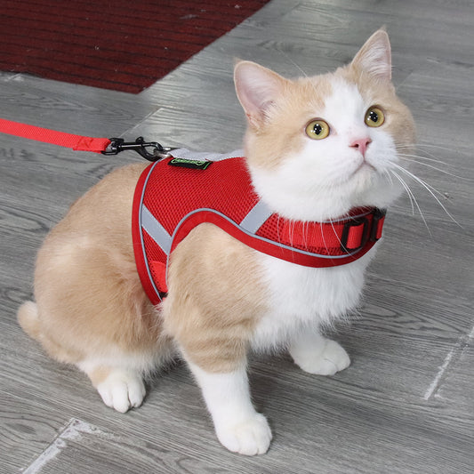 Harness For Pets