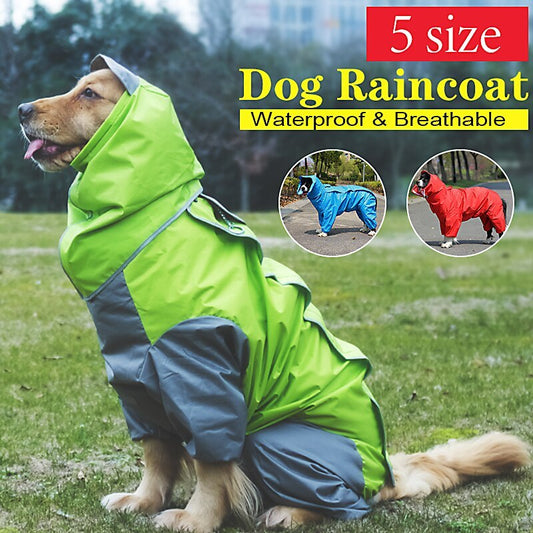 Raincoat With Color Variations For Dogs