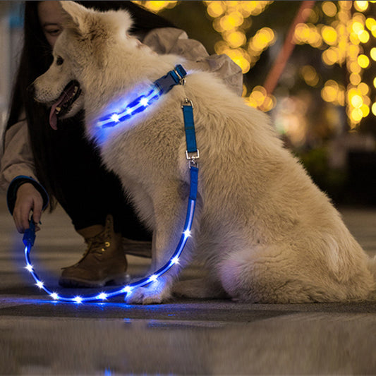 Charging LED  Pet Leash