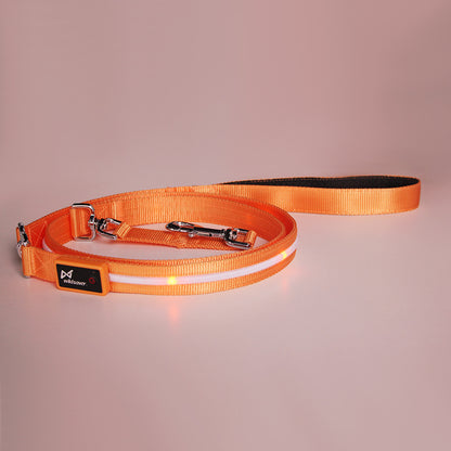 Charging LED  Pet Leash