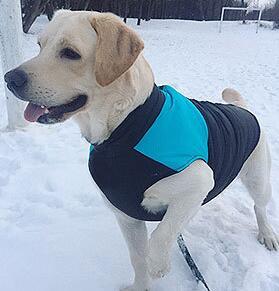 Winter Coat For Pets