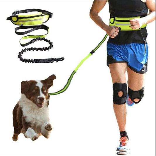 Hands Free Waist Bag Leash