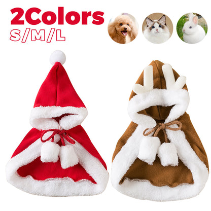 Cats Cute Christmas Outfits