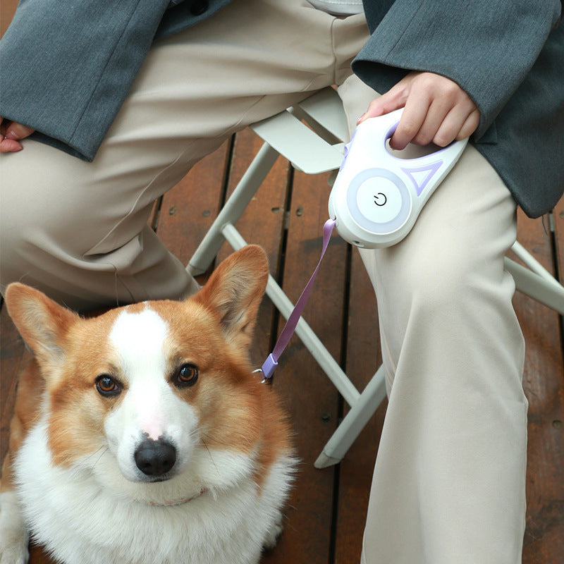 Dog Leash Retractable Leash And Collar