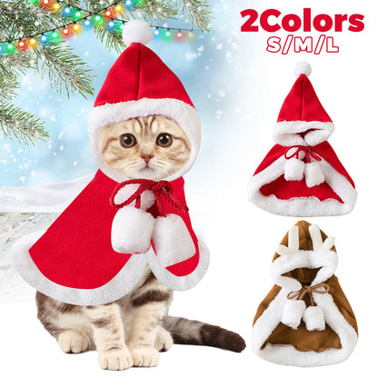 Cats Cute Christmas Outfits