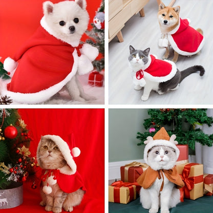 Cats Cute Christmas Outfits