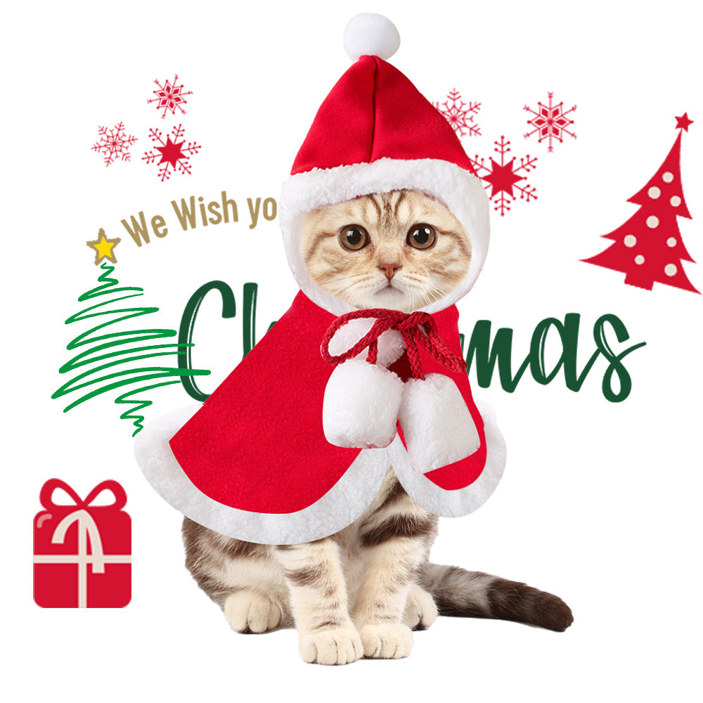 Cats Cute Christmas Outfits